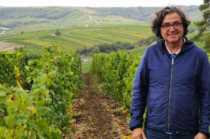 Pascal Jolivet dans ses vignes de la vallée de la Loire